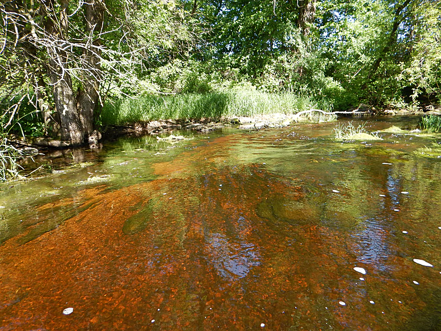 RIVER FALLS, WISCONSIN-MAI 10,2017: Une Bouteille De Lait De Magnésie De  Marque Equate Sur Fond De Bois. Banque D'Images et Photos Libres De Droits.  Image 77867686