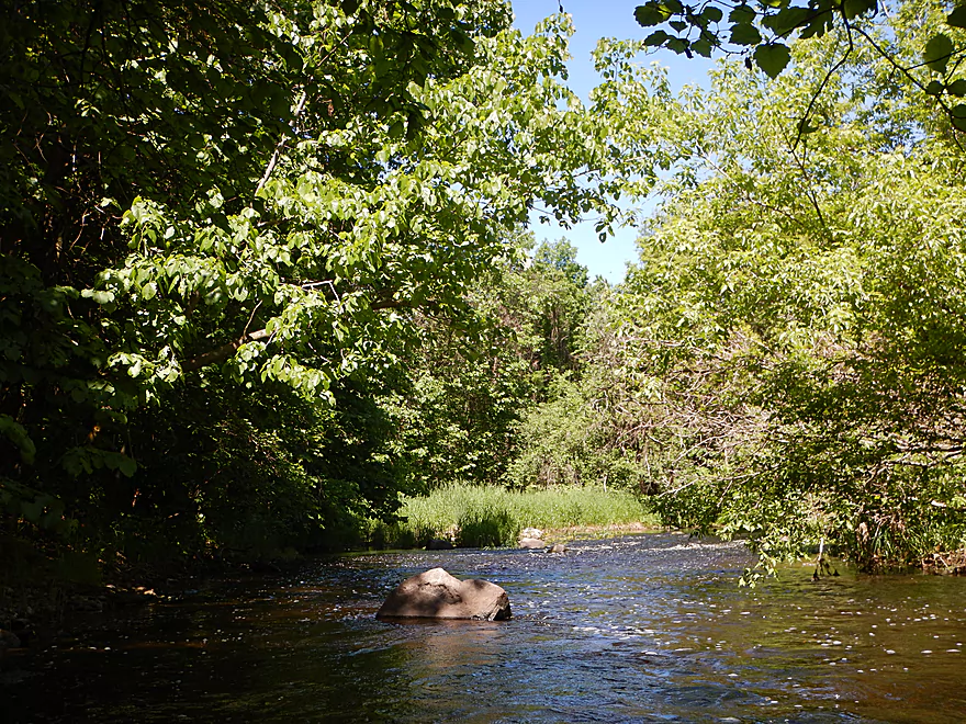 RIVER FALLS, WISCONSIN-MAI 10,2017: Une Bouteille De Lait De Magnésie De  Marque Equate Sur Fond De Bois. Banque D'Images et Photos Libres De Droits.  Image 77867686