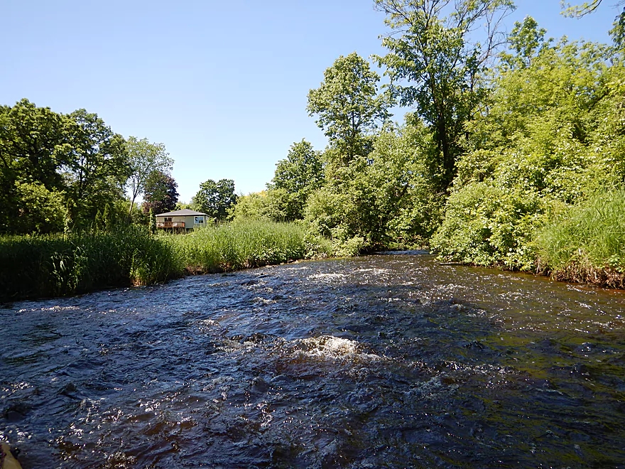 RIVER FALLS, WISCONSIN-MAI 10,2017: Une Bouteille De Lait De Magnésie De  Marque Equate Sur Fond De Bois. Banque D'Images et Photos Libres De Droits.  Image 77867686