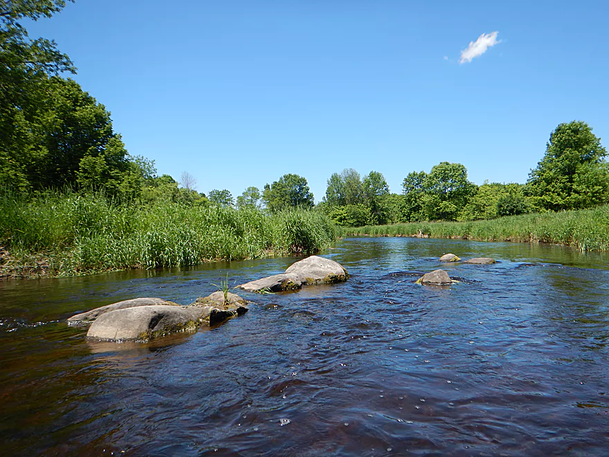 RIVER FALLS, WISCONSIN-MAI 10,2017: Une Bouteille De Lait De Magnésie De  Marque Equate Sur Fond De Bois. Banque D'Images et Photos Libres De Droits.  Image 77867686