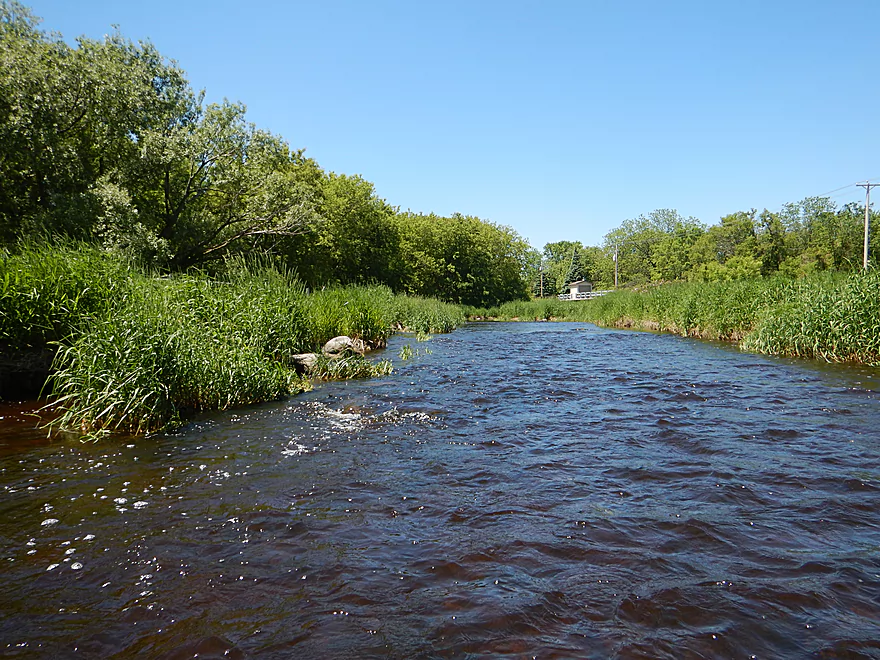 RIVER FALLS, WISCONSIN-MAI 10,2017: Une Bouteille De Lait De Magnésie De  Marque Equate Sur Fond De Bois. Banque D'Images et Photos Libres De Droits.  Image 77867686